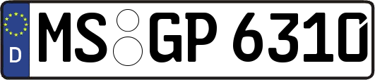 MS-GP6310