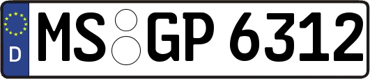 MS-GP6312