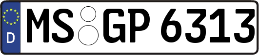 MS-GP6313