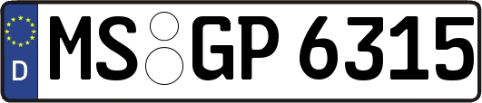 MS-GP6315
