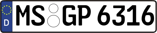 MS-GP6316