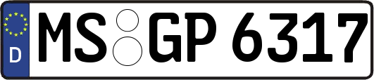 MS-GP6317