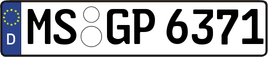 MS-GP6371