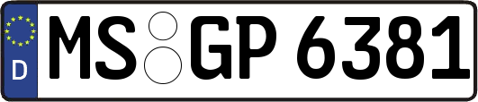 MS-GP6381