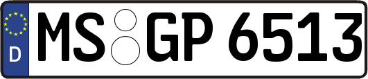 MS-GP6513