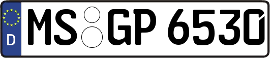 MS-GP6530