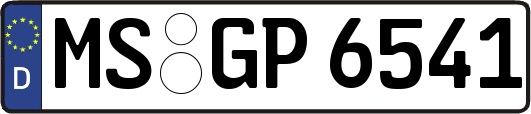 MS-GP6541