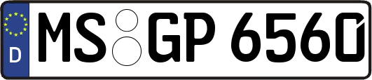 MS-GP6560