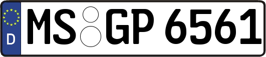 MS-GP6561