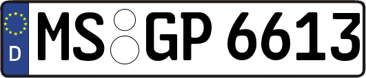 MS-GP6613