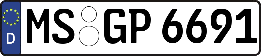 MS-GP6691