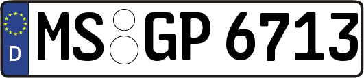 MS-GP6713
