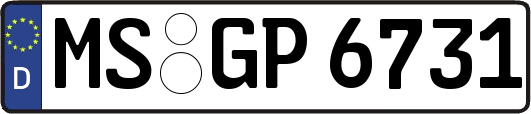 MS-GP6731