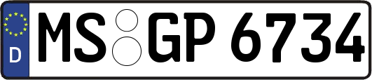 MS-GP6734