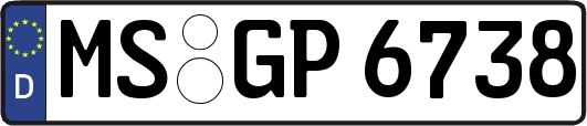 MS-GP6738