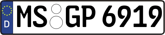 MS-GP6919