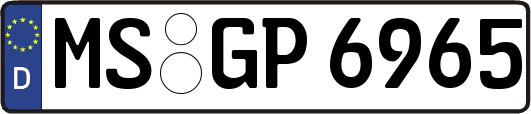 MS-GP6965