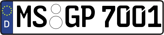 MS-GP7001