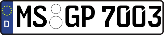 MS-GP7003