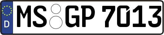 MS-GP7013