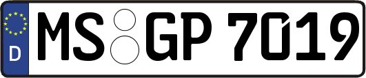 MS-GP7019