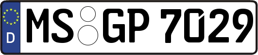 MS-GP7029