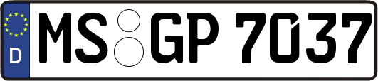 MS-GP7037