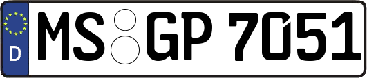 MS-GP7051