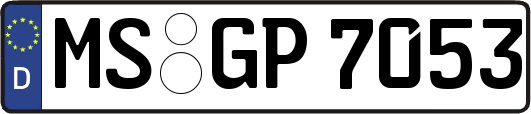 MS-GP7053
