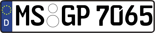 MS-GP7065