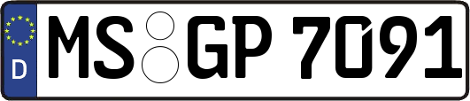MS-GP7091