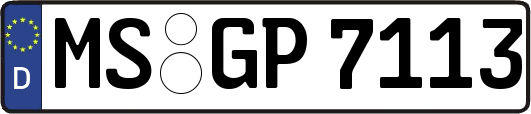 MS-GP7113