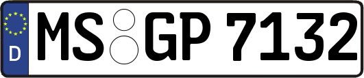 MS-GP7132