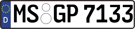 MS-GP7133