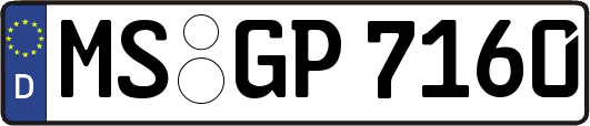 MS-GP7160
