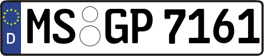MS-GP7161