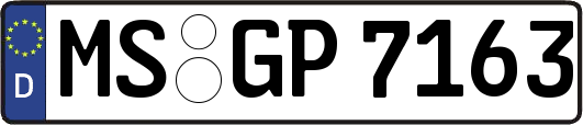 MS-GP7163