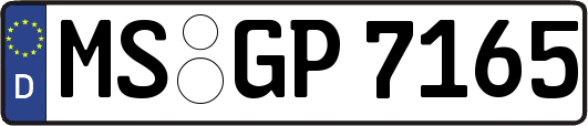 MS-GP7165