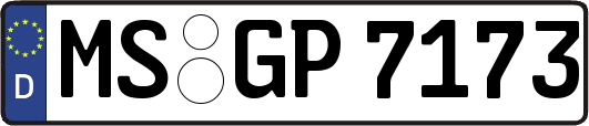 MS-GP7173