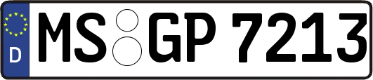 MS-GP7213