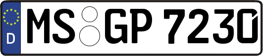 MS-GP7230