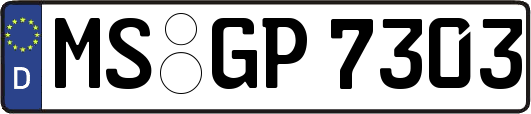 MS-GP7303