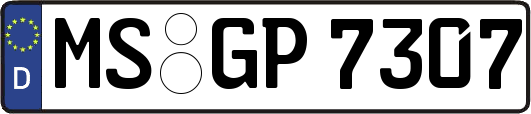 MS-GP7307