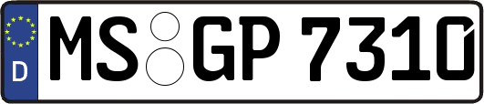 MS-GP7310