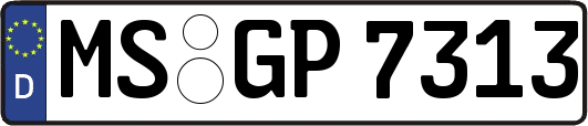 MS-GP7313