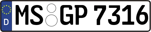 MS-GP7316