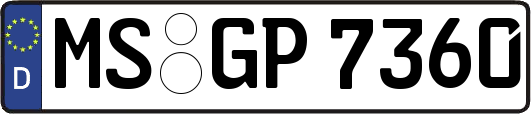 MS-GP7360