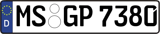 MS-GP7380