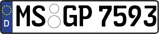 MS-GP7593