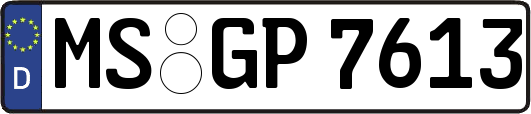 MS-GP7613